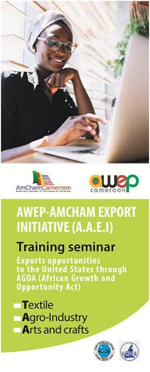 The AAEI is a partnership between the AmCham, African Women’s